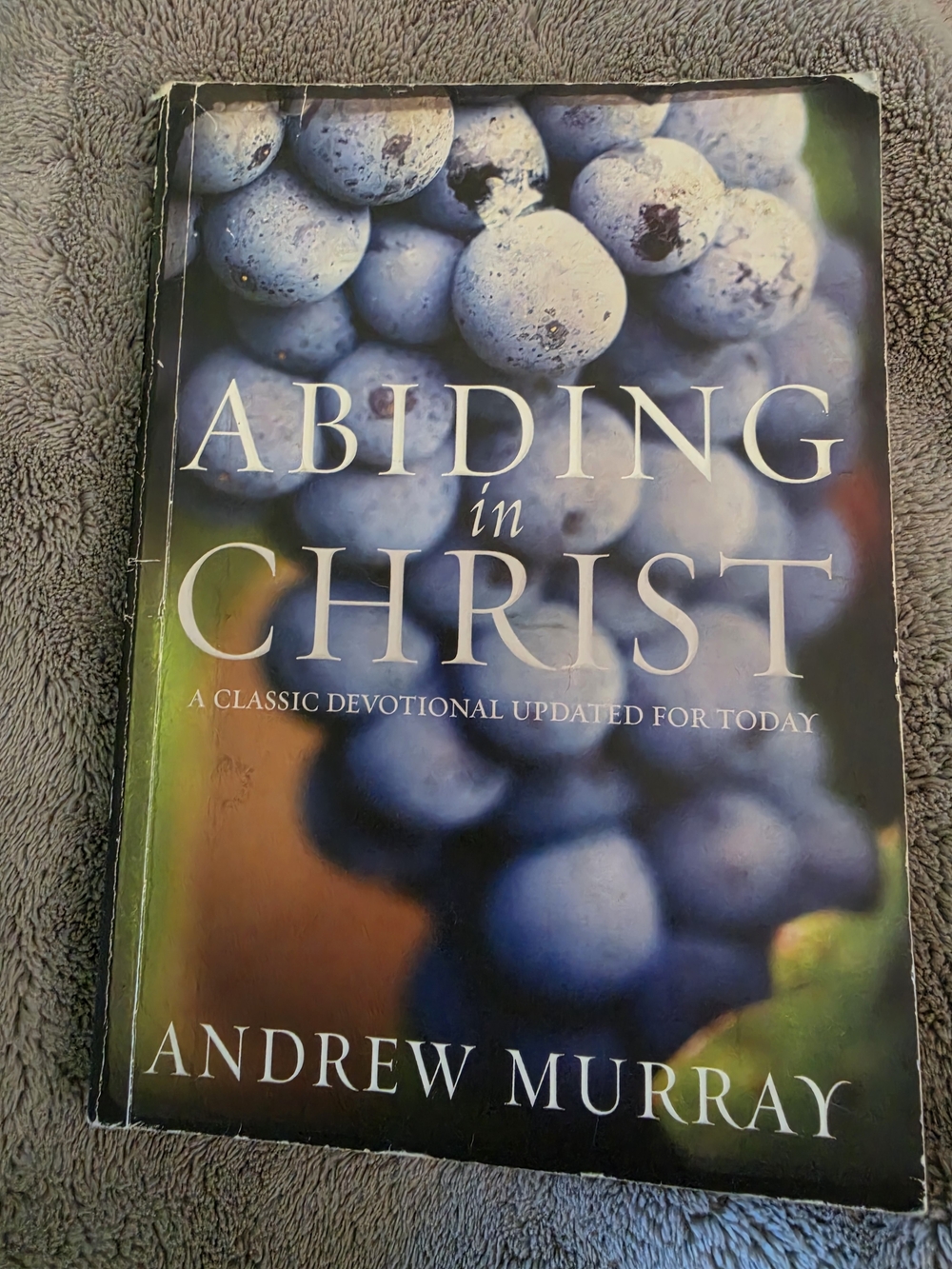 Devotional Book "Abiding in Christ" by Andrew Murray